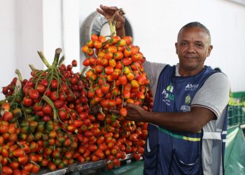 Linha de crédito para feirantes e moveleiros_Foto Jorge Brandão