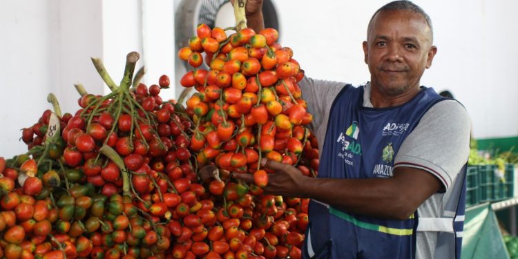 Linha de crédito para feirantes e moveleiros_Foto Jorge Brandão