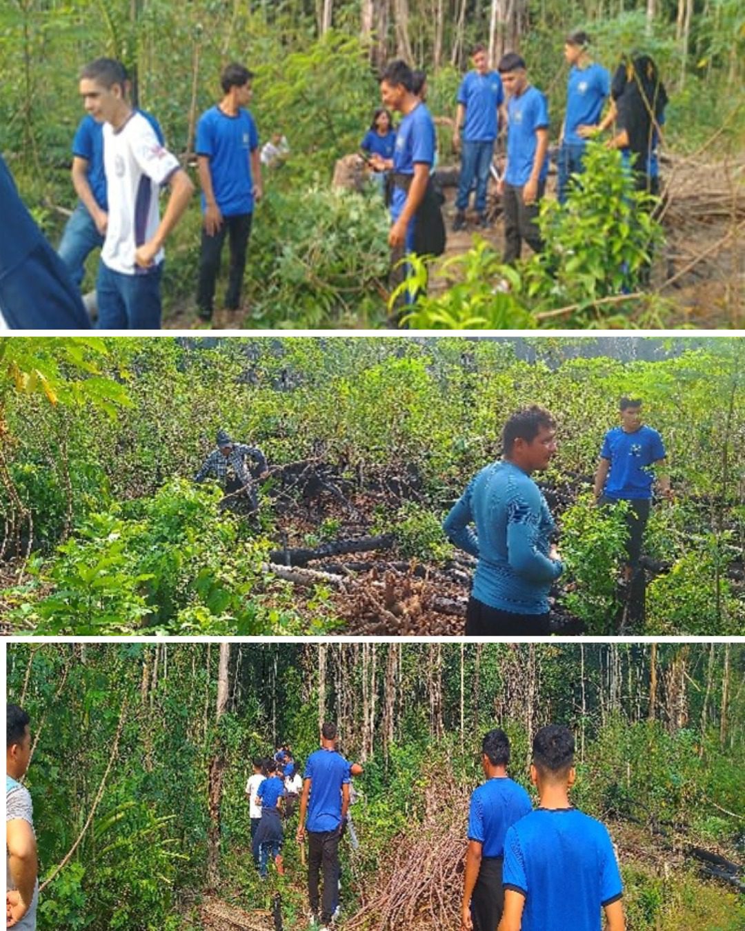 Pesquisa do Programa Ciência na Escola valoriza produção da farinha de mandioca em Barreirinha