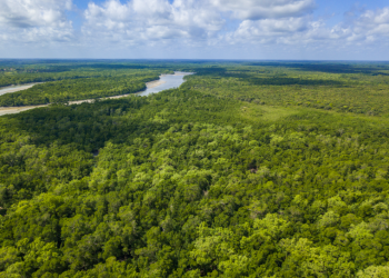 o que muda com a nova lei do licenciamento