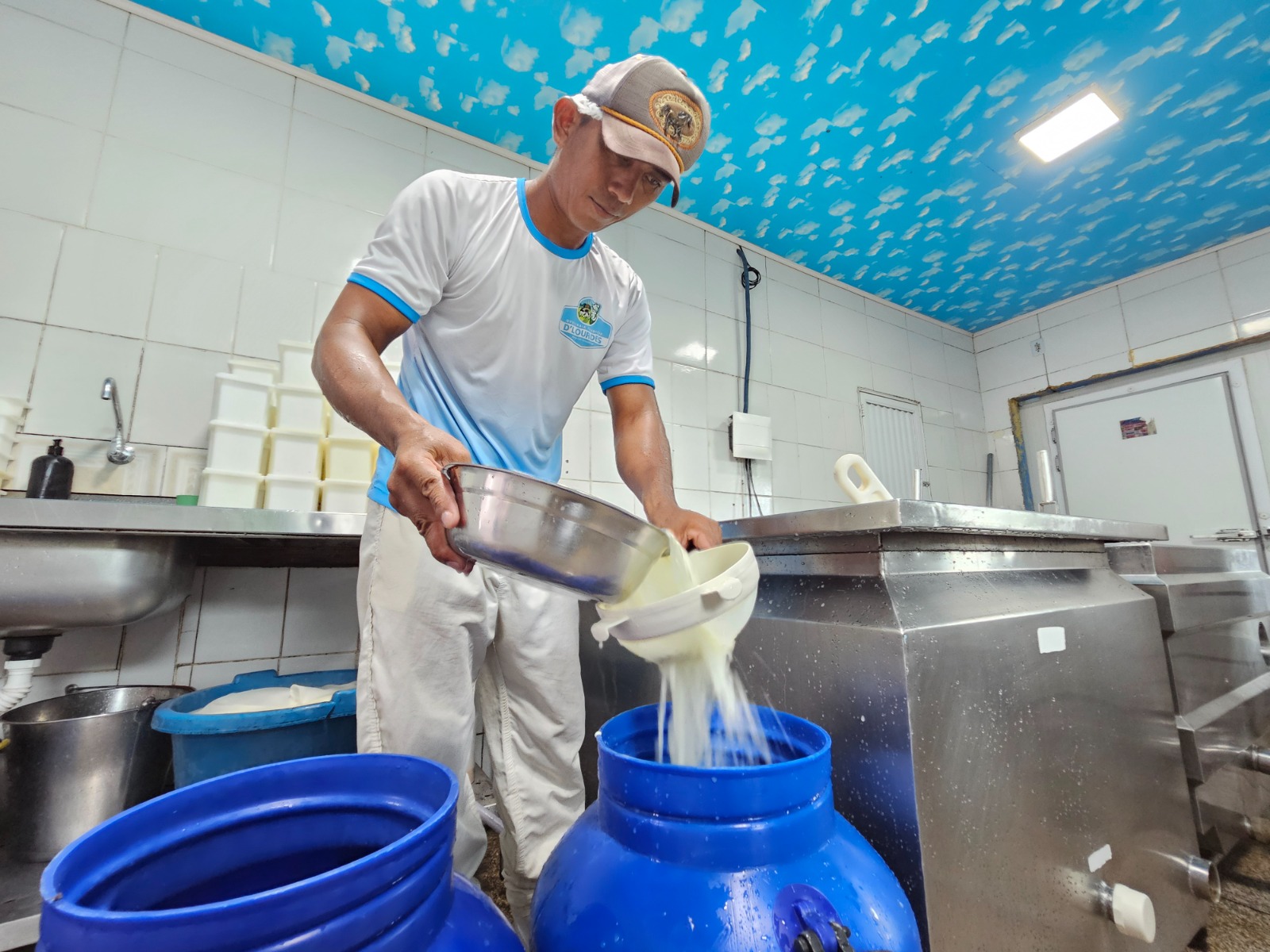 Com apoio do Idam, pecuária leiteira do Amazonas supera 611 mil animais 