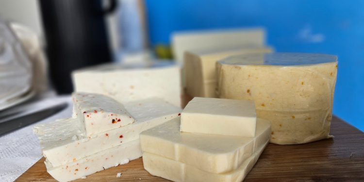 Com apoio do Idam, pecuária leiteira do Amazonas supera 611 mil animais