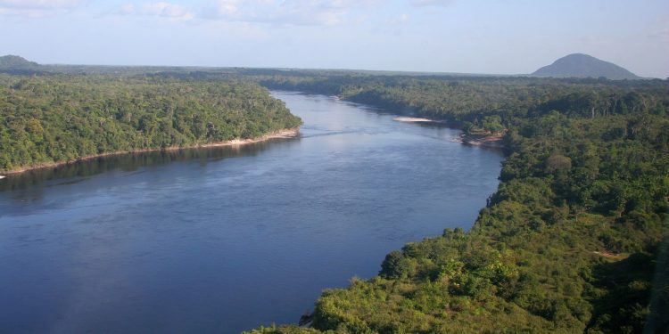 Fapeam e Fapesp lançam edital conjunto para pesquisas em sociobiodiversidade amazônica