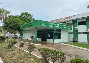 Licenciamento ambiental no Amazonas passa a usar IA