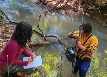 Menos floresta, mais enchente desmatamento compromete segurança hídrica entre Amazônia e Cerrado