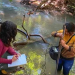 Menos floresta, mais enchente desmatamento compromete segurança hídrica entre Amazônia e Cerrado