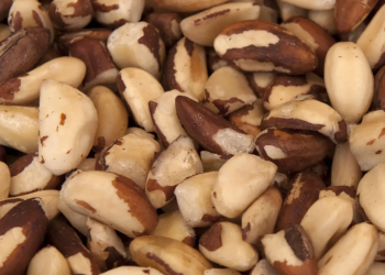 Mulheres e povos indígenas impulsionam produção sustentável de castanha no interior do Amazonas