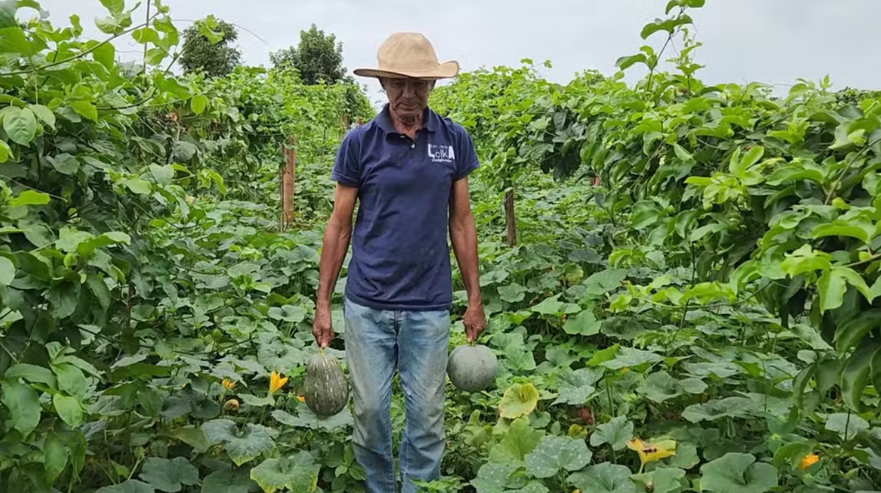 Plantio consorciado garante renda e fortalece agricultura familiar em Roraima