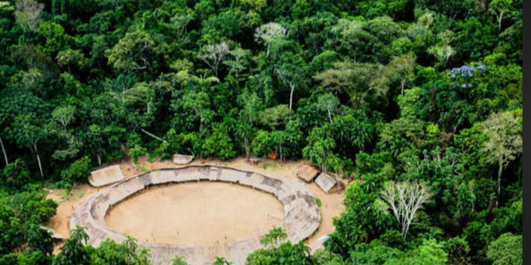 Terras indígenas do Amazonas lideram ranking de pressão ambiental na Amazônia