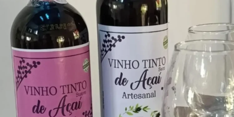 Vinho de açaí vira nova aposta econômica de comunidades no Marajó