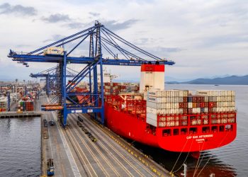 Brasil e Índia avançam em negociações para ampliar exportações agropecuárias