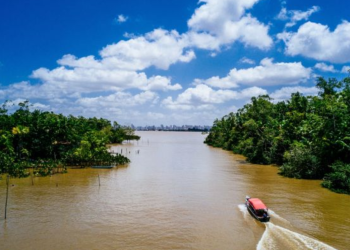 Fundo Amazônia destina R$ 80 milhões para fortalecer produção agrícola comunitária