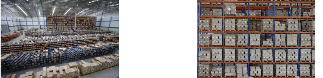 governador destaca bioeconomia