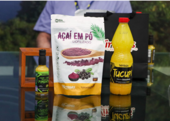 Bioeconomia se fortalece como nova frente estratégica no Amazonas