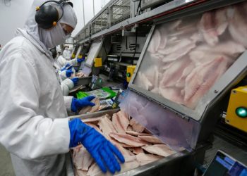 Brasil busca ampliar exportações de pescado em feira internacional nos EUA