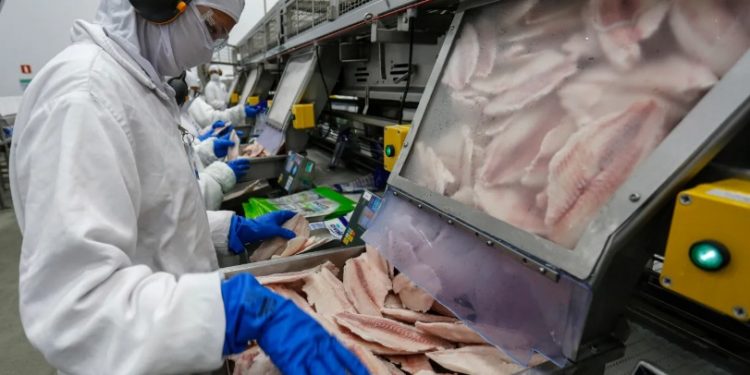 Brasil busca ampliar exportações de pescado em feira internacional nos EUA