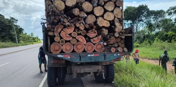 Operação do Ipaam combate desmatamento e transporte ilegal de madeira no AM