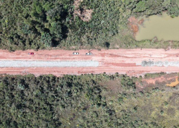 Povos indígenas têm soluções para impactos da BR-319, afirma pesquisador do INPA