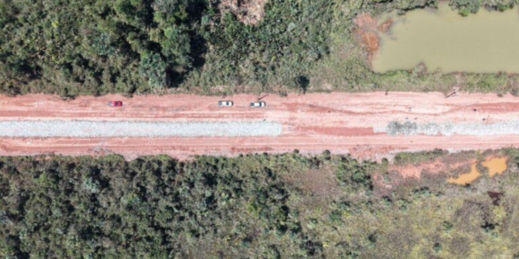 Povos indígenas têm soluções para impactos da BR-319, afirma pesquisador do INPA