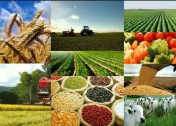 Acordo entre Brasil e Bolívia fortalece comércio agropecuário