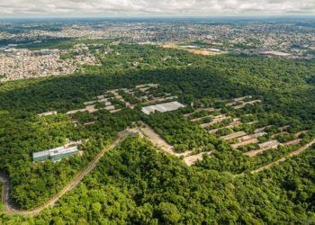 Software criado no Amazonas facilita proteção de invenções e fortalece inovação na região