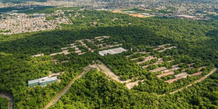 Software criado no Amazonas facilita proteção de invenções e fortalece inovação na região