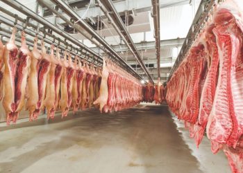 Brasil amplia exportações e abre mercado para carne suína resfriada em Singapura