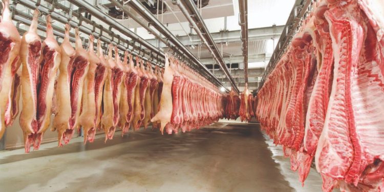 Brasil amplia exportações e abre mercado para carne suína resfriada em Singapura