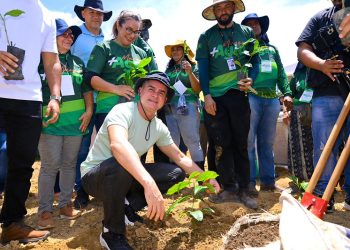 David Almeida inicia rede produtiva do café em Manaus e avança na diversificação econômica, além da Zona Franca
