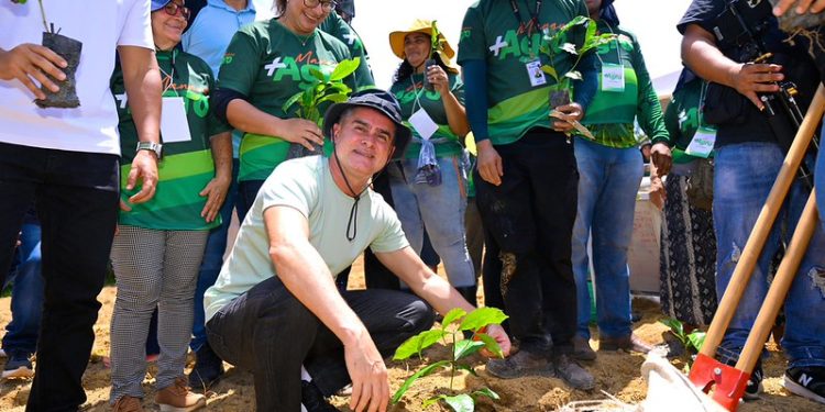 David Almeida inicia rede produtiva do café em Manaus e avança na diversificação econômica, além da Zona Franca