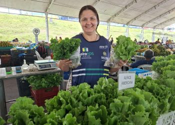 Programação semanal das Feiras de Produtos Regionais movimenta bairros e zona rural
