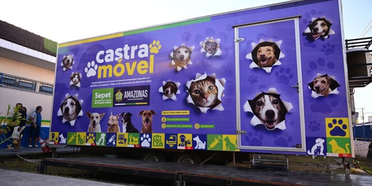Mega Castração Amazonas: Sepet pretende esterilizar mais de 2 mil cães e gatos em 8 horas, no domingo