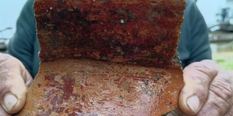 Vestígios históricos revelam ocupação humana antiga na Amazônia durante expedição no Amazonas