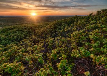 Banco Mundial aprova projeto para energia limpa e geração de empregos na Amazônia