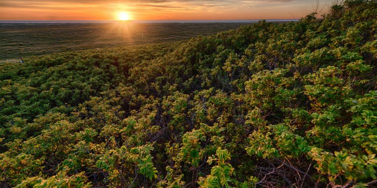 Banco Mundial aprova projeto para energia limpa e geração de empregos na Amazônia