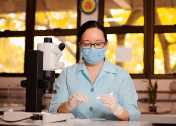 Fapeam abre as inscrições para programas inéditos Lidera Cientista, Provida e Socio Tech