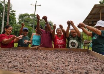 Mulheres transformam cacau orgânico em renda e tradição na Páscoa no Amazonas