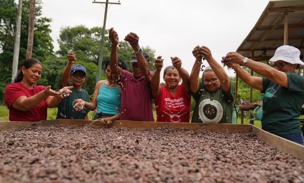 Mulheres transformam cacau orgânico em renda e tradição na Páscoa no Amazonas