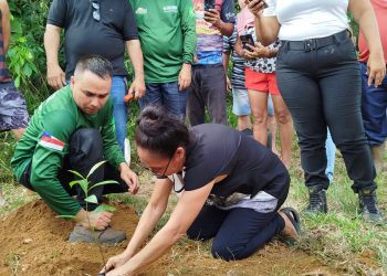 Idam distribui 6,1 mil mudas de castanheira em Iranduba e Manacapuru