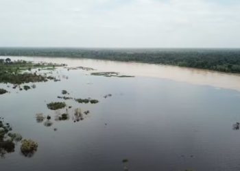 Alerta de cheia 2026: rios podem ultrapassar nível de inundação em Manaus e Manacapuru