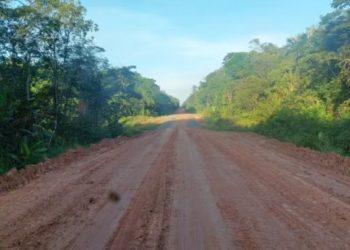 Com avanço da BR-319, Zona Franca de Manaus se prepara para expansão industrial