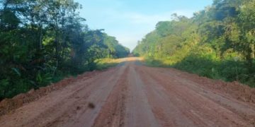 Com avanço da BR-319, Zona Franca de Manaus se prepara para expansão industrial