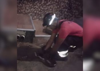 Sucuri de quase 2 metros é resgatada em frente a uma residência em Manaus