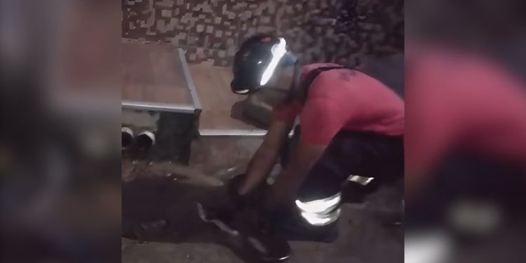 Sucuri de quase 2 metros é resgatada em frente a uma residência em Manaus