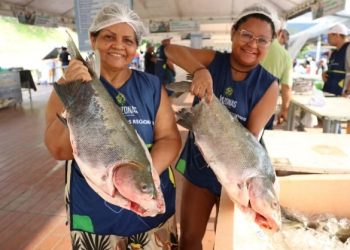 Feirão do Pescado em Manaus oferece peixes baratos até sexta-feira