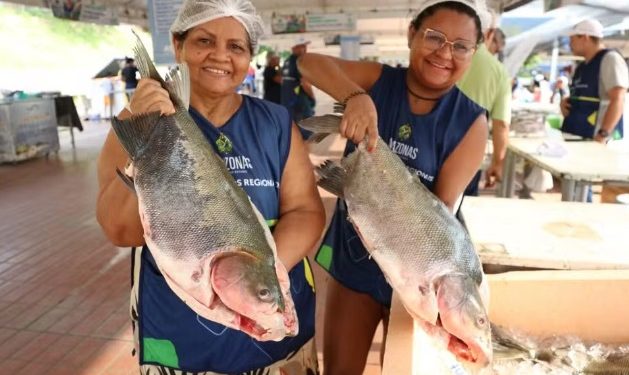 Feirão do Pescado em Manaus oferece peixes baratos até sexta-feira