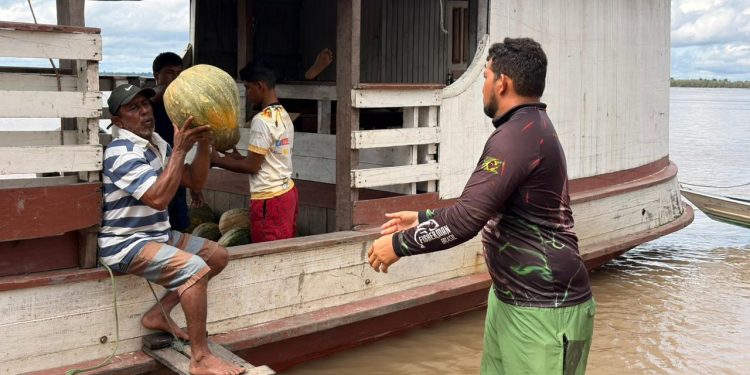 Venda de 3,5 toneladas de jerimum garante renda a agricultores do Amazonas