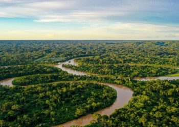 Ministério do Meio Ambiente discute metodologias e fortalece mercado de carbono no país