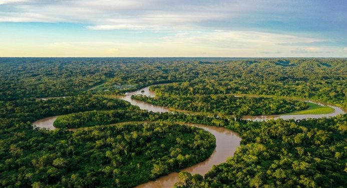 Ministério do Meio Ambiente discute metodologias e fortalece mercado de carbono no país