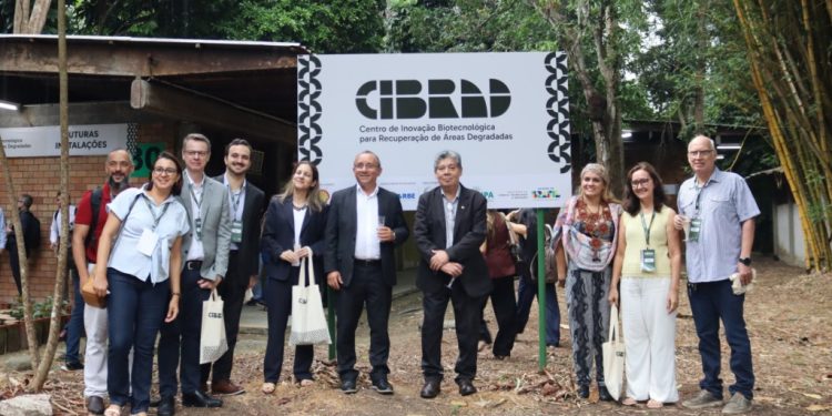 Shell e Inpa criam centro de inovação para recuperar áreas degradadas na Amazônia